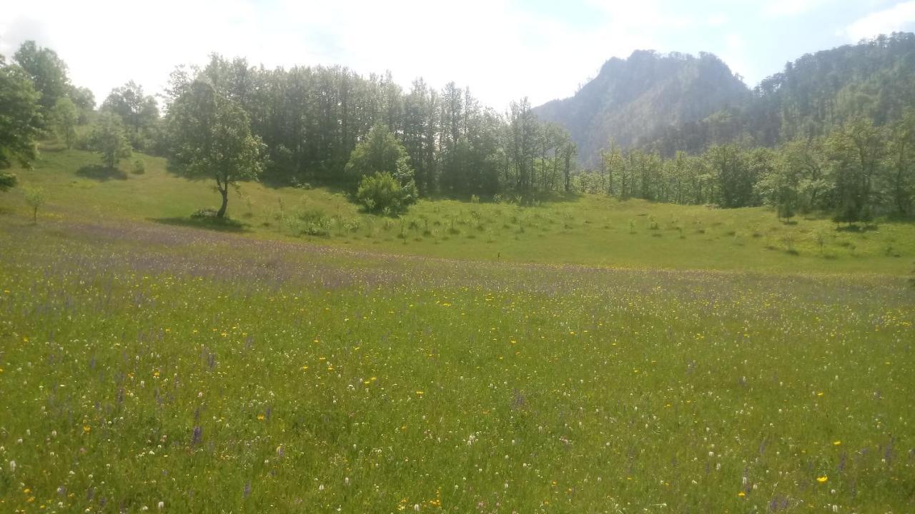 Kamp Rafting Kljajevica Luka Βίλα Πλιέβλια Εξωτερικό φωτογραφία